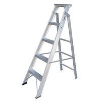 EMAC Dual Purpose Aluminium Ladder