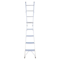 EMAC Dual Purpose Aluminium Ladder