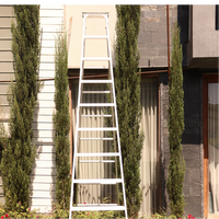 EMAC Aluminium Dual Purpose Light Weight Anti Slip Folding Aluminium Ladder