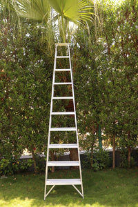 EMAC Aluminium Dual Purpose Light Weight 10-Step Aluminium Ladders Anti Slip Folding Aluminium Ladder